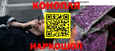 PSILOCYBIN Балаково