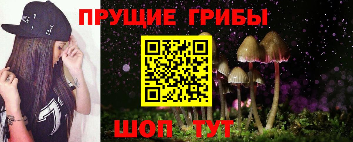 Галлюциногенные грибы Psilocybe Дзержинский